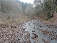 Erosion on forest roads