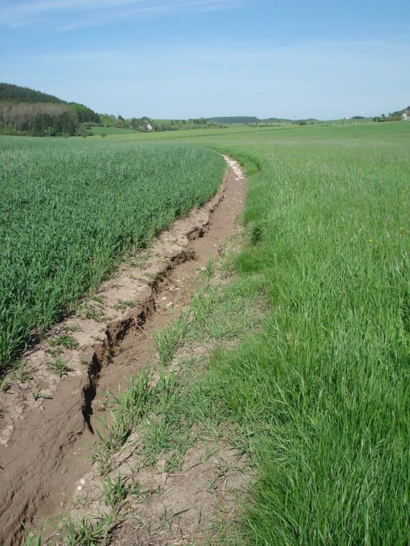 Erosion on Agricultural Land Erosion and fine sediments Thick