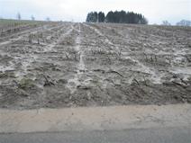 Loss of soil due to water erosion