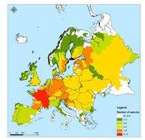 Erste Studie über Süßwassermuschelpopulationen in 26 europäischen Ländern