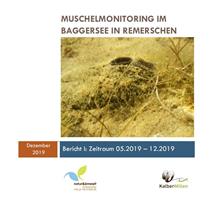 What is the status of our native freshwater mussels in Luxembourg ?