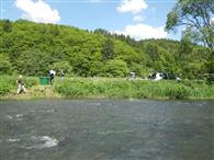 Electric fishing at the river Our