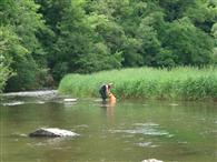 Mussel search