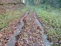 Ablauf von Regenwasser auf Feldwegen