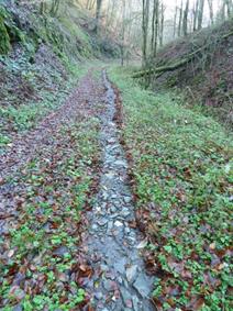 Ablauf von Regenwasser auf Feldwegen