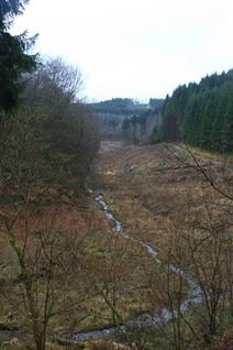 Schwärzerbach - Erosion Control