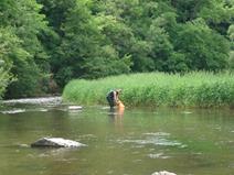 Mussel monitoring