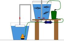 Muschel Gewinnungsanlage (Schema)