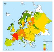 First study on freshwater mussel stocks in 26 European countries