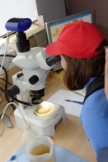 Water experience center at the mill of Kalborn - center for aquatic environmental education