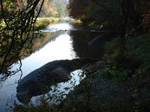 Gravel deposition in the Our and Sûre rivers