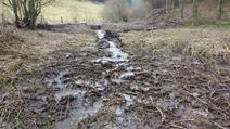 New streambed - Relocation of the Ruederbaach