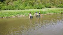 Electric fishing in the river Our and Sauer