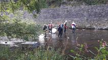 Kontrolle des Fischbestandes in der Our